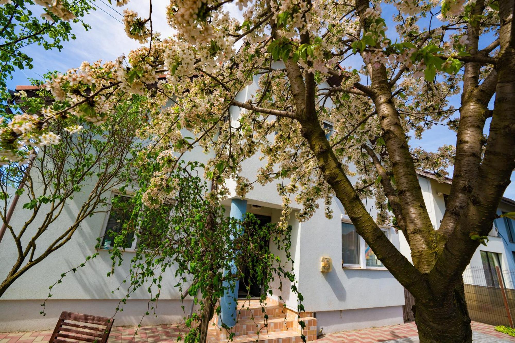 Pitstop Apartments Dumbravita  Exterior photo