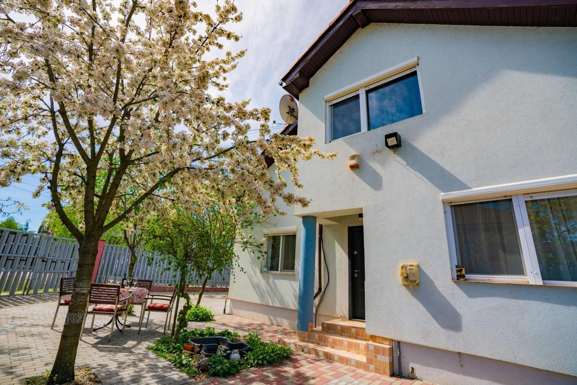 Pitstop Apartments Dumbravita  Exterior photo